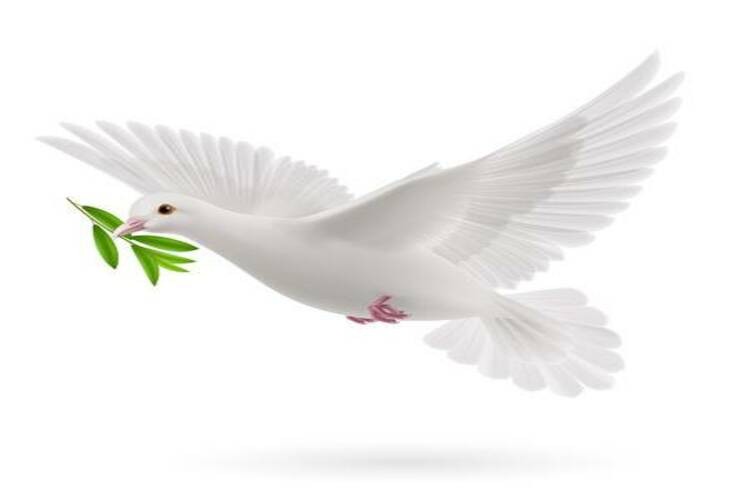 Bomberos de Achao - Abnegación y Trabajo